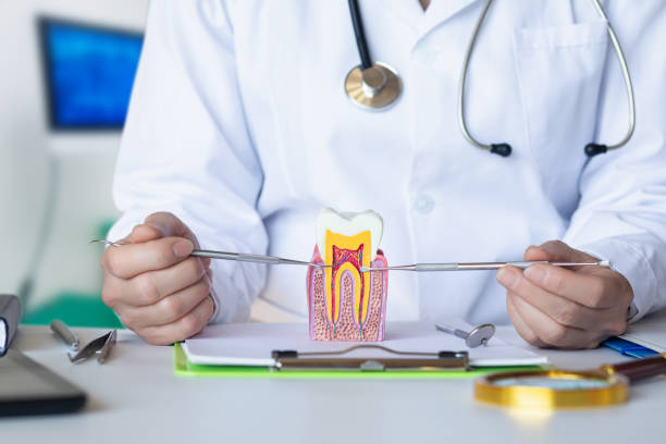 Best Emergency Dental Extractions in Wabash, IN